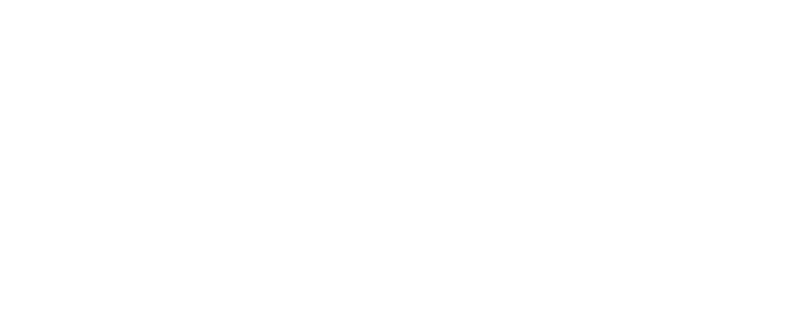 Visa Help Services Logo